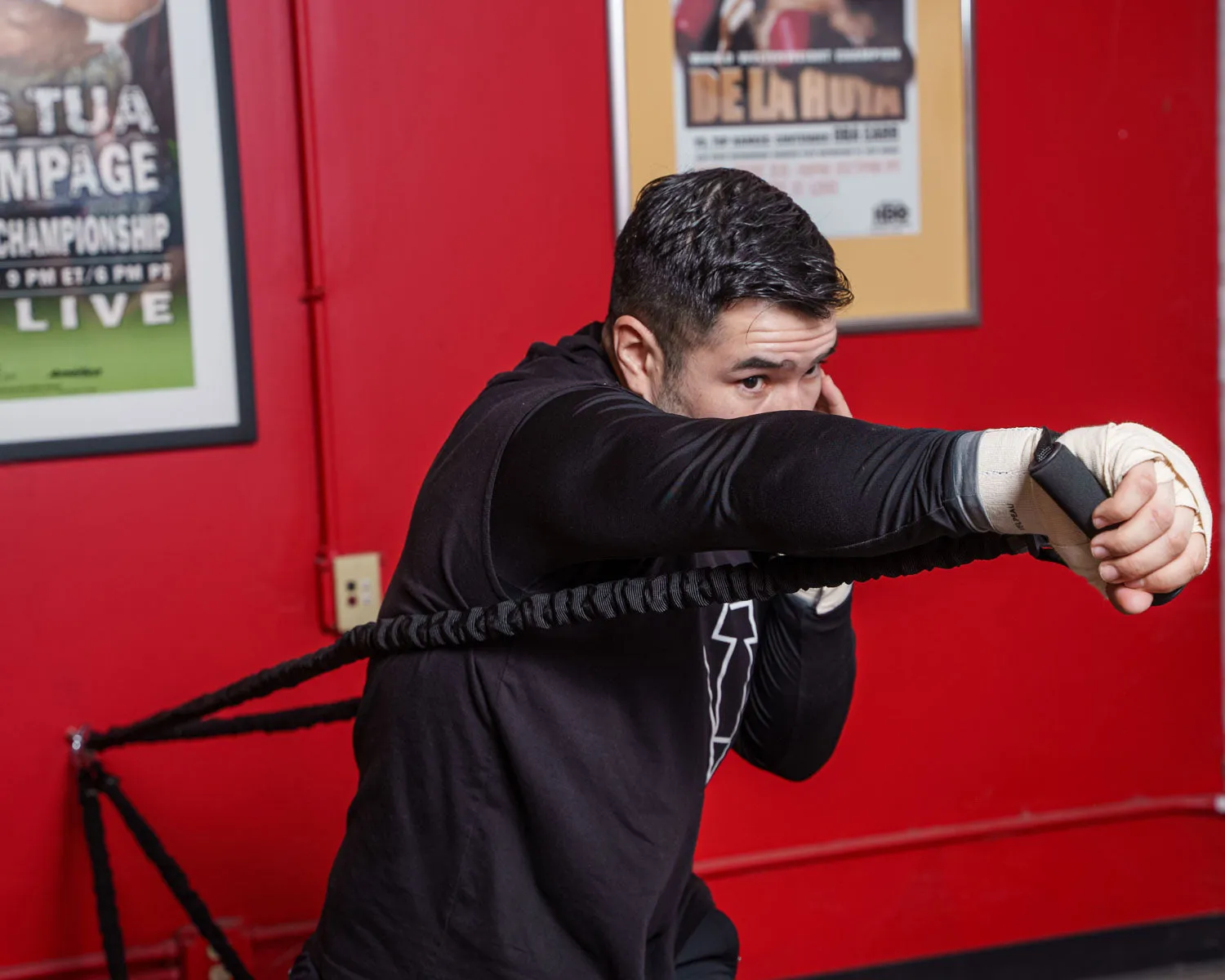 TITLE Boxing Powerquad Resistance System