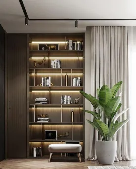 Zeenia Stylish Room Shelf